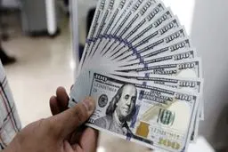 دلار و یورو در صرافی ملی چند؟