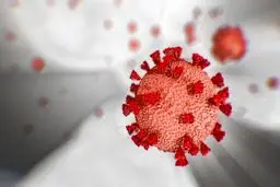 برای ۲.۳ میلیون مرده در آمریکا چک یارانه صادر شد