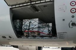 محموله نهم واکسن روسی وارد ایران شد