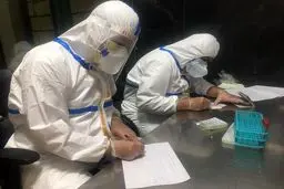 انجام بیش از ٢٣ هزار تست در مبادی مرزی کشور