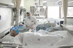 ممنوعیت سفر به مشهد