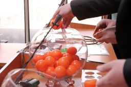 تقابل استقلال – پرسپولیس در یک چهارم جام حذفی