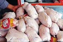 نوسانات قیمت مرغ به دلیل افزایش کرایه‌ها و ارز دولتی است