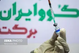 ایمنی‌زایی بیش از ۸۵ درصدی واکسن برکت/ بررسی‌ واکسن برای تزریق بر سنین ۱۲ تا ۱۸ سال