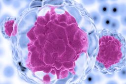 استفاده از سلول‌های بنیادی برای تعدیل سیستم ایمنی در کووید-۱۹