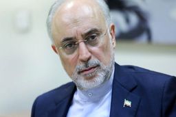 صالحی: مسائل مالی دلیل عمده عدم دستیابی به اهداف تولید برق هسته‌ای بوده است