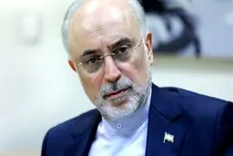 صالحی: مسائل مالی دلیل عمده عدم دستیابی به اهداف تولید برق هسته‌ای بوده است
