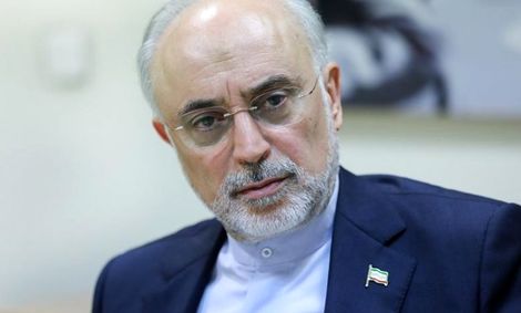 صالحی: مسائل مالی دلیل عمده عدم دستیابی به اهداف تولید برق هسته‌ای بوده است