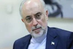 صالحی: مسائل مالی دلیل عمده عدم دستیابی به اهداف تولید برق هسته‌ای بوده است