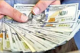 ثبات نرخ ارز در بازار