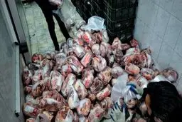 عرضه آنلاین گوشت تنظیم بازاری آغاز شد