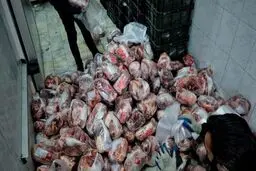 عرضه آنلاین گوشت تنظیم بازاری آغاز شد