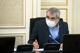 کدخدایی از تمدید اخذ رای تا ساعت ۲۴ خبر داد