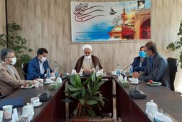 رئیس دیوان عدالت اداری: سه هفته دیگر ابهامات سند خودرو رفع می‌شود