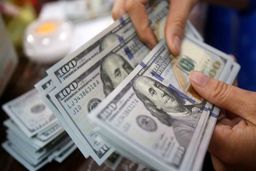 نقش کشورهای حاشیه خلیج فارس در تلاطم بازار ارز ایران | چرا دلار گران شد؟