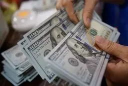 نقش کشورهای حاشیه خلیج فارس در تلاطم بازار ارز ایران | چرا دلار گران شد؟