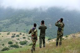 حکم جالب دادگاه برای یک متخلف زیست‌محیطی / ساخت مستند حیات وحش جایگزین زندان شد