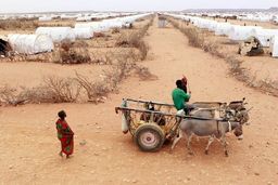 اوکسفام: تعداد فوت شدگان از گرسنگی بیشتر از تعداد متوفیان کووید ۱۹ در هر دقیقه است