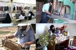 سقف وام اشتغال مددجویان ۱۰۰ میلیون می‌شود
