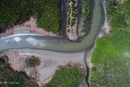 نَفَس تالاب‌ها به شماره افتاد/ شنای مسئولان در زمین خاکی!