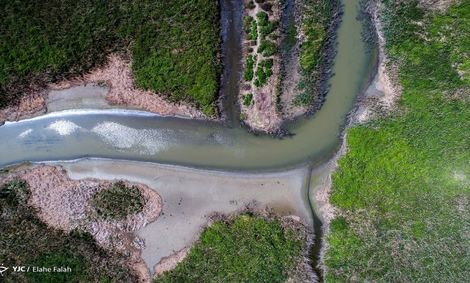 نَفَس تالاب‌ها به شماره افتاد/ شنای مسئولان در زمین خاکی!