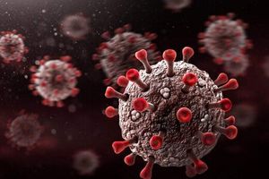 مشاهده ۸ مورد کرونای دلتا در گیلان/ سه رقمی شدن بستری های روزانه