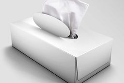 افزایش ١۵ درصدی قیمت دستمال کاغذی