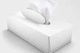 افزایش ١۵ درصدی قیمت دستمال کاغذی