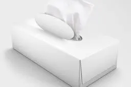 افزایش ١۵ درصدی قیمت دستمال کاغذی