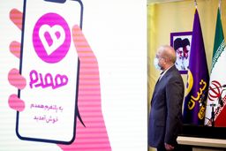 رونمایی از اولین اپلیکیشن رسمی همسریابی در تبیان/ پلتفرم «همدم» با حضور رئیس مجلس رونمایی شد