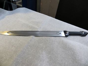 چه شد که هلیا قمه به دست گرفت؟/ حال بچه های ما خوب نیست