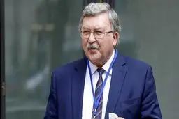 اولیانوف: دلیلی برای بدبینی درباره مذاکرات وین وجود ندارد، اما نباید انتظارات بیش از حد داشت