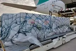 ورود محموله یک میلیون و ۱۴۰ هزار دُزی واکسن کرونا به کشور