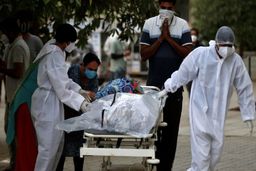 ویروس دلتا را با سرماخوردگی اشتباه نگیرید