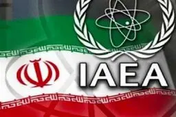 رویترز به نقل از آژانس‌ مدعی شد: قصد ایران برای تولید اورانیوم فلزی غنی‌شده تا ۲۰ درصد