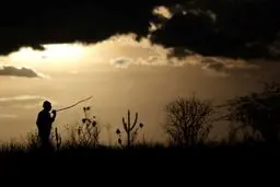 خشکسالی؛ شکارچی بی‌رحم