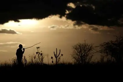 خشکسالی؛ شکارچی بی‌رحم