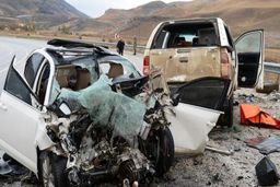 دیه، بازیگر اصلی تعیین نرخ بیمه شخص ثالث است