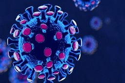 ردپای کرونای دلتا در استان هرمزگان؛ یک مورد ابتلا و فوت بیمار ثبت شد