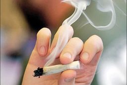 دسترسی به مواد مخدر به زیر ۷ دقیقه رسید