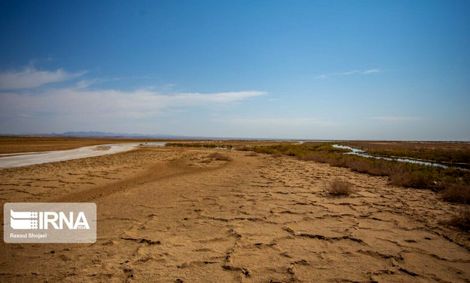 ۹۸ درصد از تالاب بین‌المللی گاوخونی خشک شد