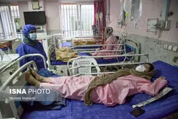 افزایش دوباره مرگ‌های کرونایی در کشور / ۲۱۳ فوتی و ۲۵۴۴۱ ابتلا در ۲۴ ساعت گذشته