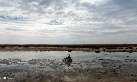 توضیحات شرکت مدیریت منابع آب درخصوص شایعات اخیر وضعیت آب خوزستان