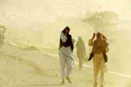 توفان ۲۶۱ نفر را در منطقه سیستان روانه بیمارستان کرد