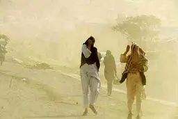 توفان ۲۶۱ نفر را در منطقه سیستان روانه بیمارستان کرد