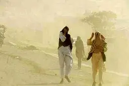 توفان ۲۶۱ نفر را در منطقه سیستان روانه بیمارستان کرد