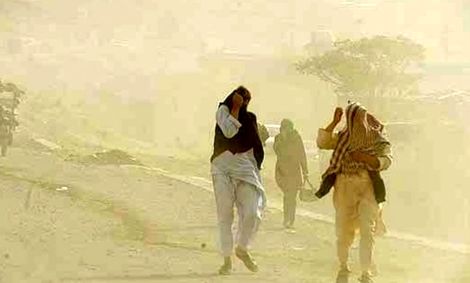 توفان ۲۶۱ نفر را در منطقه سیستان روانه بیمارستان کرد