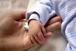 کاهش ۳۰درصدی میزان تولد در سه سال گذشته