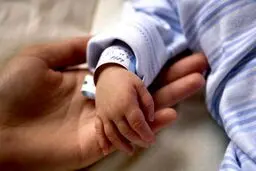 کاهش ۳۰درصدی میزان تولد در سه سال گذشته