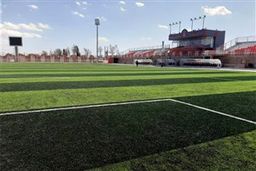 بازی در چمن مصنوعی در لیگ بعد ممنوع شد!